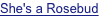 shapeimage_1_link_2